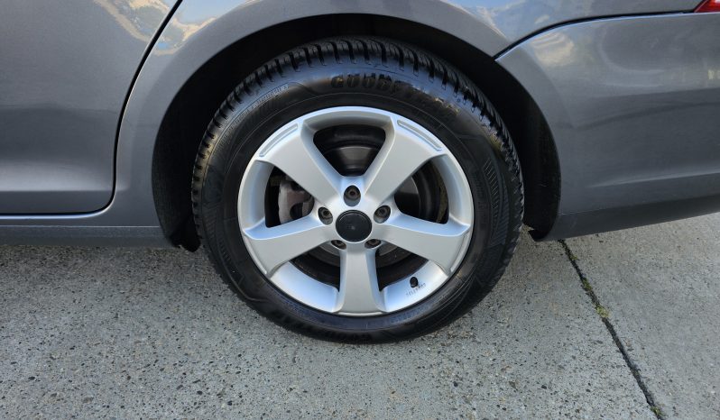 Volkswagen Golf V 1.9 TDI Trendline