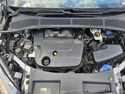 Ford S-Max 2.0 TDCi full