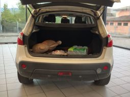 Nissan Qashqai 1.5 Turbodiesel Visia full