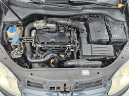 Volkswagen Golf V 1.9 TDI full