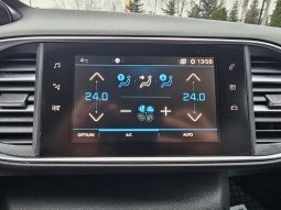 Peugeot 308 2.0 BlueHDi full