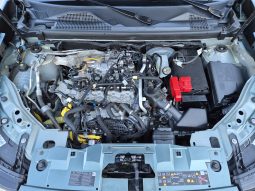 Dacia Duster 4×4 1.2 TCe Mild Hybrid full