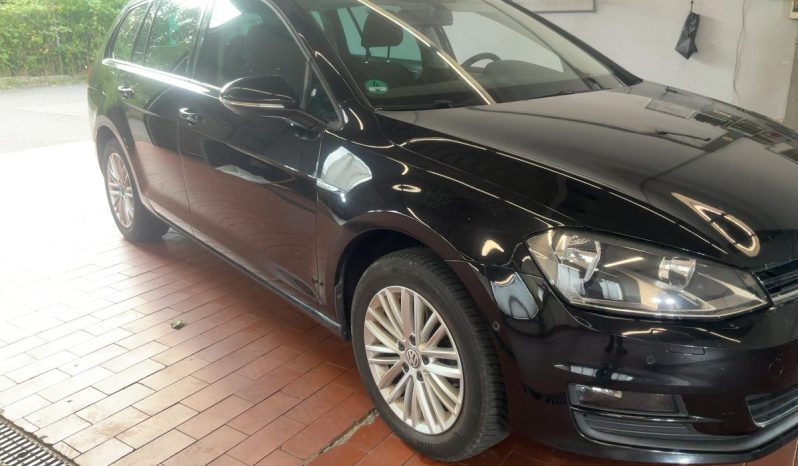 Volkswagen Golf VII 1.6 TDI Cup BlueMotion Tech